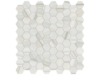 Zebrino 1.25" Hexagon Tile & Stone by Anatolia Tile