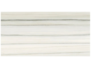 Zebrino 12x24 Matte Tile & Stone by Anatolia Tile