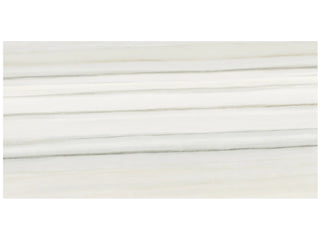 Zebrino 16x32 Matte Tile & Stone by Anatolia Tile