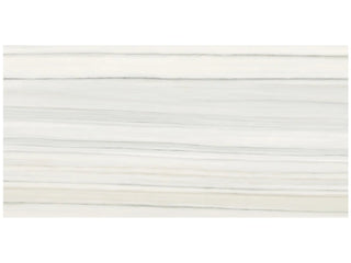 Zebrino 24x48" Tile & Stone by Anatolia Tile