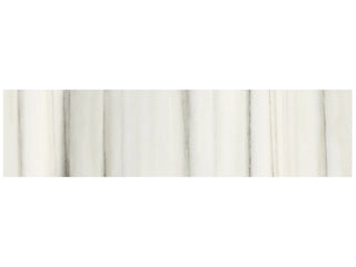 Zebrino 3x12 Bullnose Polished Tile & Stone by Anatolia Tile