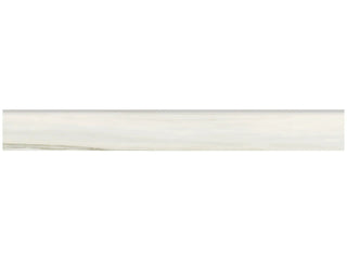 Zebrino 3x24 Bullnose Matte Tile & Stone by Anatolia Tile