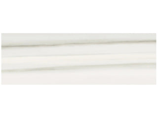 Zebrino 4x12 Tile & Stone by Anatolia Tile